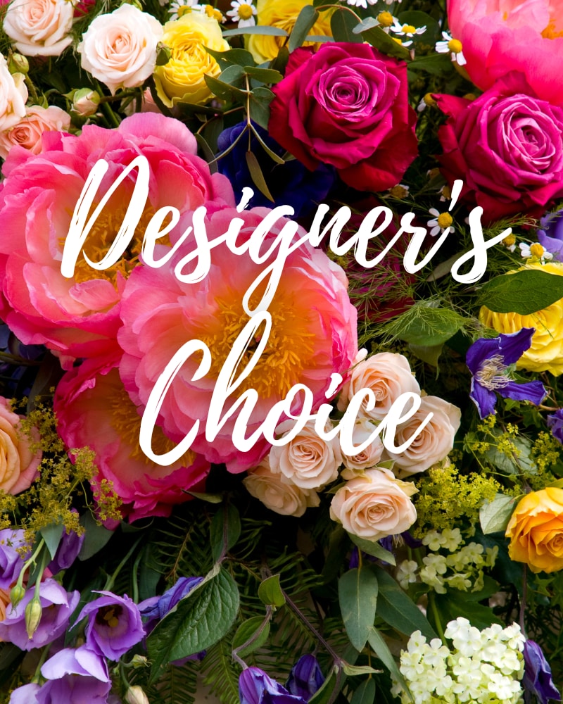 Designer's Choice